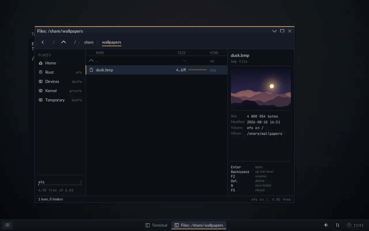 The EDOS file manager showing /share/wallpapers, with a thumbnail of the selected image, its size in bytes, its modification time and the volume it lives on in the details pane.