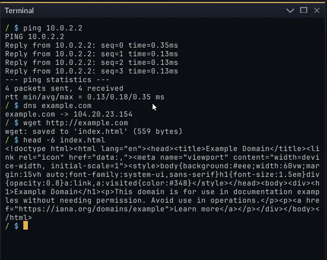A terminal in EDOS running ping, dns and wget against the internet.